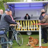 Nutzfahrzeugtreffen 2013